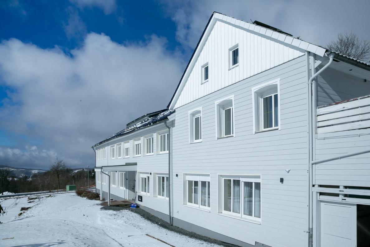 Lieblingsquartier Sankt Andreasberg Studio 9 Ngoại thất bức ảnh
